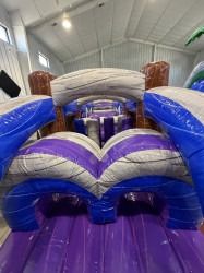 IMG 6026 1773868058 42’ Purple Reign Obstacle Course (Dry Only)